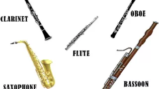 EXERCISE 23. WHICH IS WHICH? WOODWIND