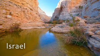 Israel. Canyon in the Negev Desert was inhabited by Nabateans and Catholic monks. Ein Avdat.