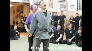 Ninja Grandmaster Masaaki Hatsumi Sensei Breakdown