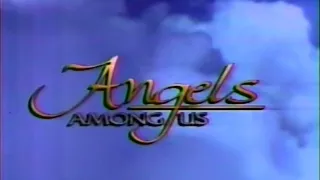 Angels Among Us (True Angel Stores)