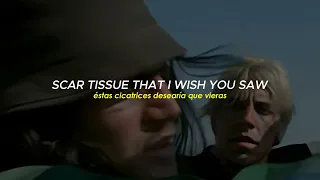 Red Hot Chili Peppers - Scar Tissue (subtitulada en español - lyrics)