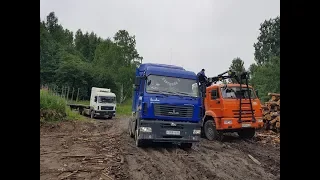 Рабочий день водителей тягачей МАЗ на перевозке леса [часть 1].
