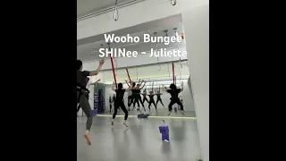 SHINee - Juliette #dance #bungee #dancer #kpop #acrobatics #번지 #bungeefit