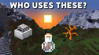 Minecraft FEATURES nobody uses