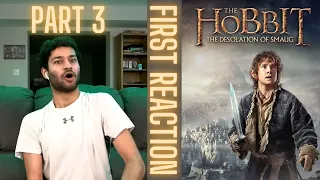 Watching The Hobbit: Desolation Of Smaug (2013) FOR THE FIRST TIME!! || Part 3! (Movie Reaction)