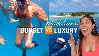 MALDIVES under a Budget or in Luxury? Swimming with sharks, room tour, Indian food etc! I'm blown 🤩