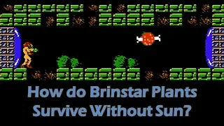 Brinstar Plant Survival in Metroid, NES - Gaming Science | hungrygoriya