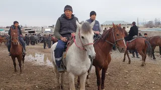 Yangiqõrģon tumani Begabod ot bozori bugungi narhlar bilan tanishing 9.03.2024yil