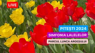 🔴LIVE din PITEȘTI - SIMFONIA LALELELOR 2024 🌷 PARCUL LUNCA ARGEȘULUI