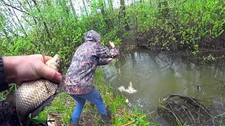 Ловля КРУПНЫХ КАРАСЕЙ на МИКРОРЕЧКЕ! РЫБАЛКА на поплавок в КАМЫШЕ и КОРЯГАХ!