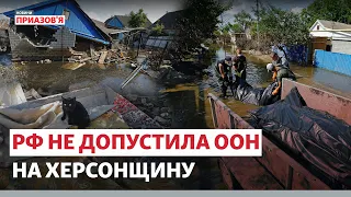 «Почали збирати тіла». Олешки і Гола Пристань після затоплення | Новини Приазов’я