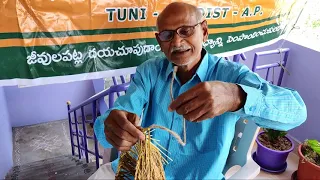 How to make Vari Kunchulu (వరి కుంచులు) in Telugu