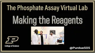 The Phosphate Assay Virtual Lab: Making the Reagents