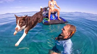 Living off the ocean with my two best mates! 🐶 💃🏼 🌊