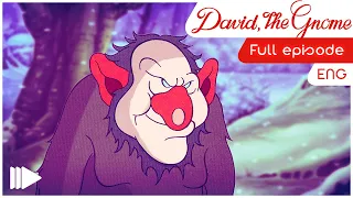 David the Gnome - 9 - The forest pond | Full Episode |