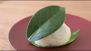 Oldest Japanese Sweets Camellia Mochi Flower Cake "Tsubaki-mochi" Simple and Yummy Candy