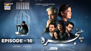 Pinjra Episode 16 - Presented by Sensodyne - 12th January 2023 (Subtitles English) - ARY Digital