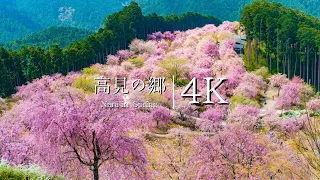 [The paradise in the sky] Visit Takami no Sato - JAPAN in 4K