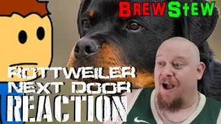 Brewstew Rottweiler Next Door REACTION -  Come on Nathan! Just relax and watch Rush Hour on VHS!