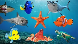 All Oceanic Gegagedigedagedago Compilation