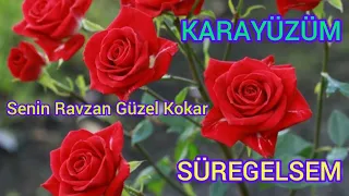 Karayüzüm