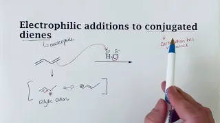 Electrophilic addition to a conjugated diene