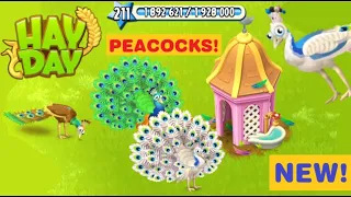 Hay Day Birds: Peacocks (Guide)