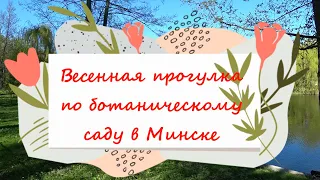 Весенняя прогулка по ботаническому саду в Минске