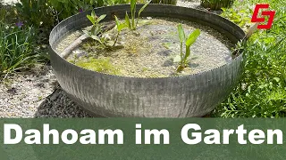 Alles für den kleinen Garten, Wasser, Wildsträucher, Blumenwiese im Topf, schöne Hochzeitstischdeko