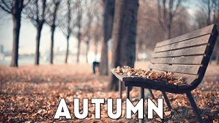 AUTUMN: Madlib Type Sample Beat [Smooth/Mellow Boom Bap Instrumental] {2016 Hip-Hop/Rap By Kannibal}