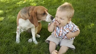 Dogs and babies talking - Cute dogs & babies compilation
