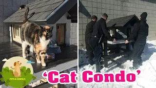 Cops Build Cozy 'Condo' For A Friendly Stray Cat