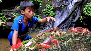 Catching the first stone crabs of the season in a waterfall, Bac was lucky to catch a big fish.