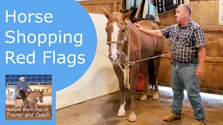 Don't look at buying a horse before watching this first