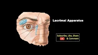 Lacrimal Apparatus | Components, Features, Structure with its Blood & Nerve supply