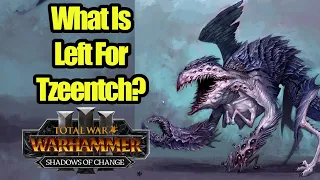 What's Still Missing From Tzeentch? - Shadows of Change - Total War Warhammer 3