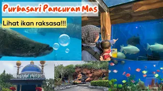 PURBASARI PANCURAN MAS PURBALINGGA 2024 | ADA IKAN RAKSASA DARI SUNGAI AMAZON