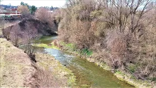 В ЭТОМ РУЧЬЕ МНОГО РЫБЫ!!!