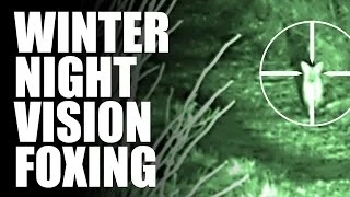 Winter Night Vision Foxing