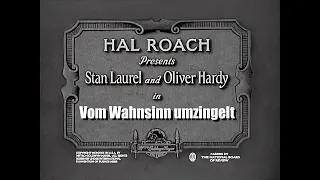 Laurel & Hardy - Vom Wahnsinn umzingelt (Big Business, 1929)