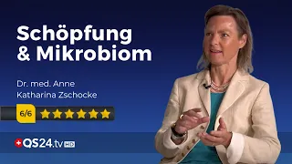 Mikrobiom und Menschsein | Dr. Anne Katharina Zschocke | Der Sinn des Lebens | QS24