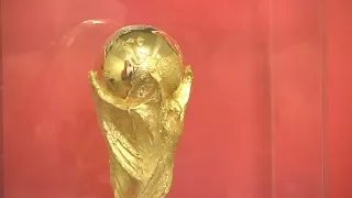 Саранск встречает кубок ФИФА