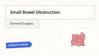 Small Bowel Obstruction (5-Minute Clinical Summary)