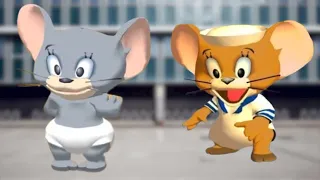 Tom and Jerry War of the Whiskers: Nibbles vs Sailor Jerry Gameplay HD - Funny Cartoon