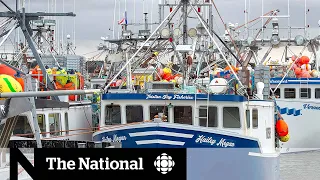 Lobster Dumping Day in N.S. marred by delays, uncertainty, tensions