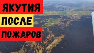 Снег в Якутии после пожаров. Что ждать сегодня?