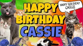 Happy Birthday Cassie! Crazy Cats Say Happy Birthday Cassie (Very Funny)