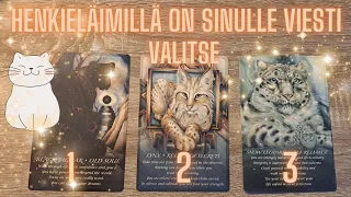 Henkieläinviestejä🦁🔮TAROT🔮valitse henkieläin🐯