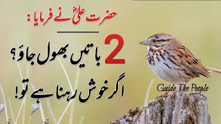 2 Baatein Bhool Jao(Forget Two Things)Hazrat Ali Quotes In Urdu|| Best Urdu Quotes||Guide The People