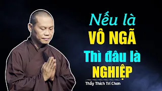 Nếu là VÔ NGÃ thì ai THỌ NGHIỆP - TT. Thích Trí Chơn (bài pháp mới nhất tháng 10.2020)